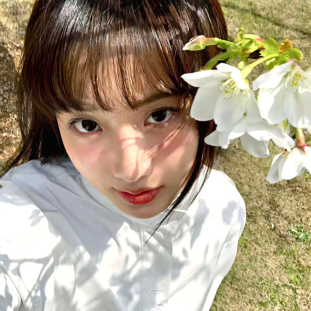 达西玛姨娘